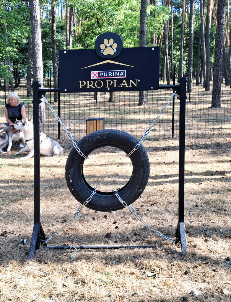 InterAtletika-from-barriers-to-slides-modern-dog-walking-06