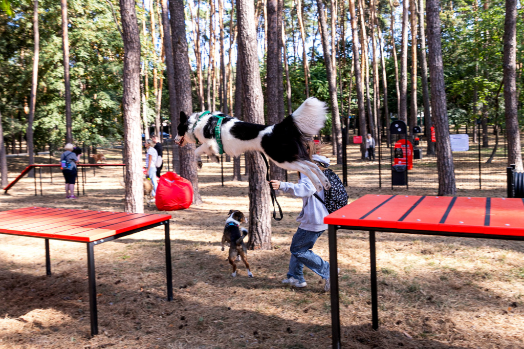 InterAtletika-from-barriers-to-slides-modern-dog-walking-05