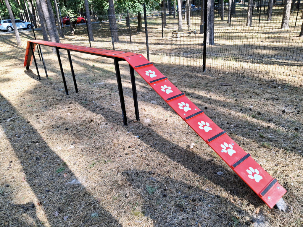 InterAtletika-from-barriers-to-slides-modern-dog-walking-09