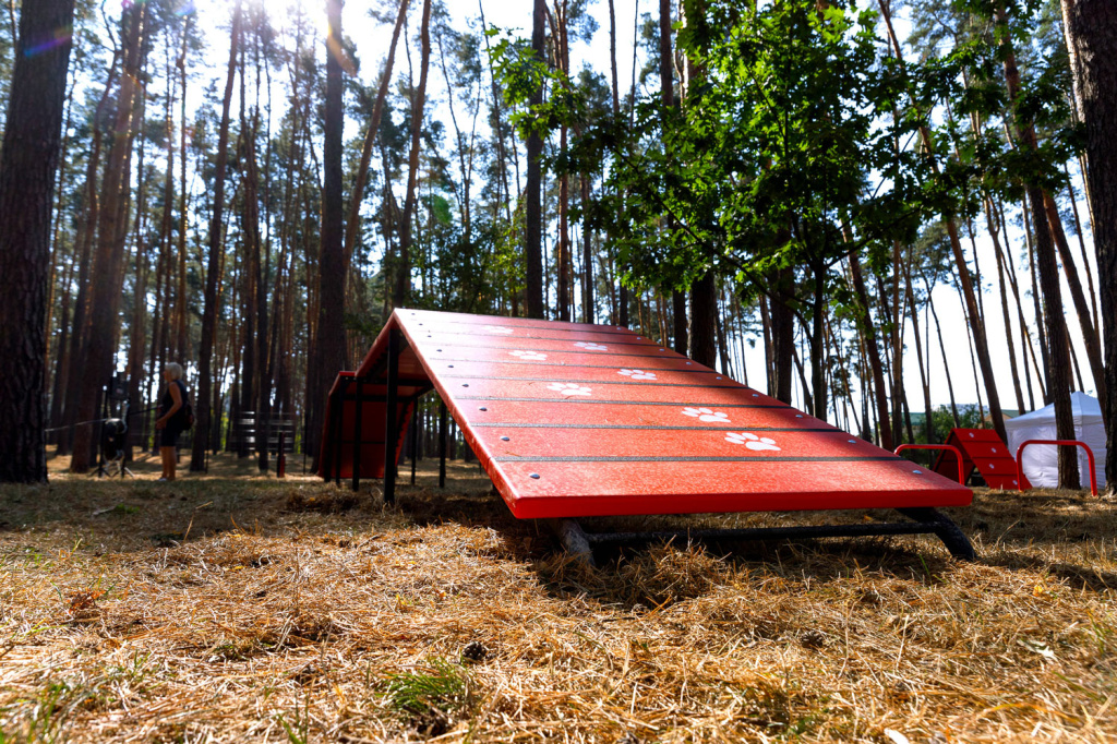 InterAtletika-from-barriers-to-slides-modern-dog-walking-11