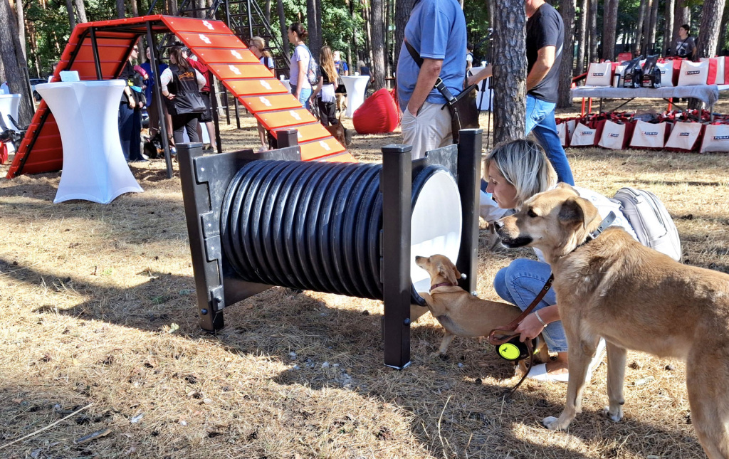 InterAtletika-from-barriers-to-slides-modern-dog-walking-10