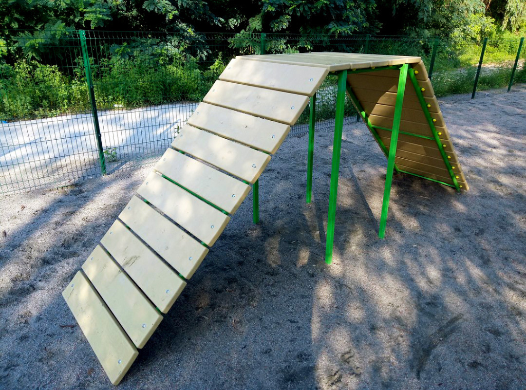 InterAtletika-from-barriers-to-slides-modern-dog-walking-04